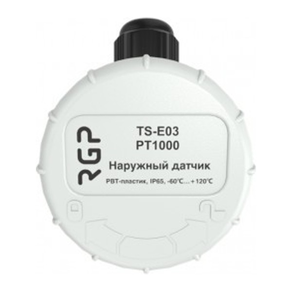 Датчик температуры наружного воздуха RGP TS-E03 NTC10k (3950)